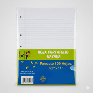 hojas-rayadas-portafolio-buho-no-3